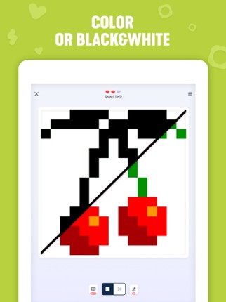 Nonogram - griddler puzzles screenshot