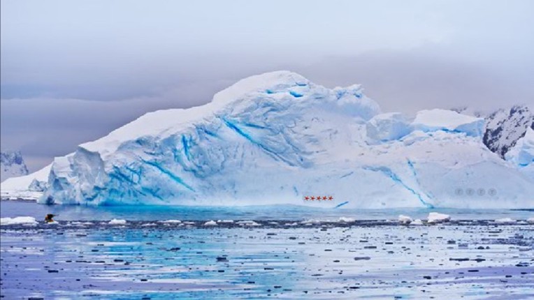 Antarctic Dolphin Escape Image