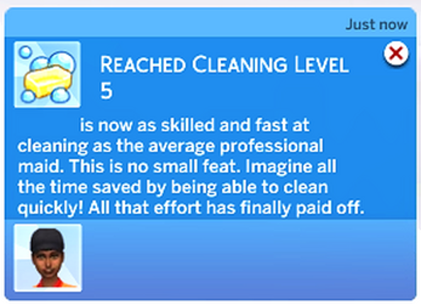 Cleaning Skill Image