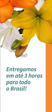 Commando Strike Shooting Games screenshot