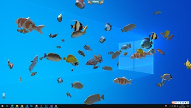 Fish on the desktop Image