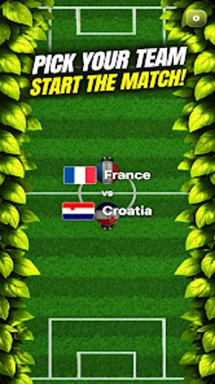 Soccer Bugs: World Flag Match Image