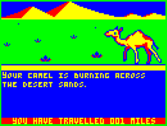 Camel Image