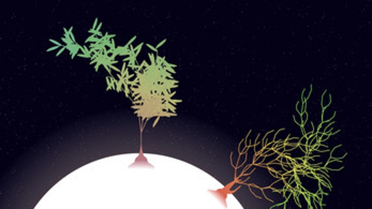 Moontrees screenshot