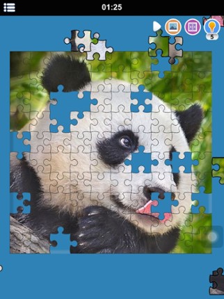 Photos Jigsaw Puzzle screenshot