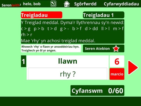 Seren Iaith Image