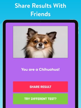 What Type Of Dog Are You? Image
