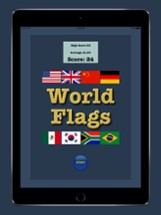 World Flags Game Image