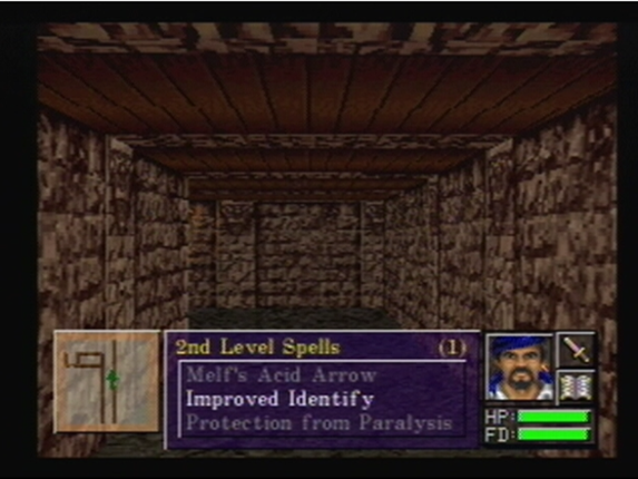 Advanced Dungeons & Dragons: Slayer screenshot