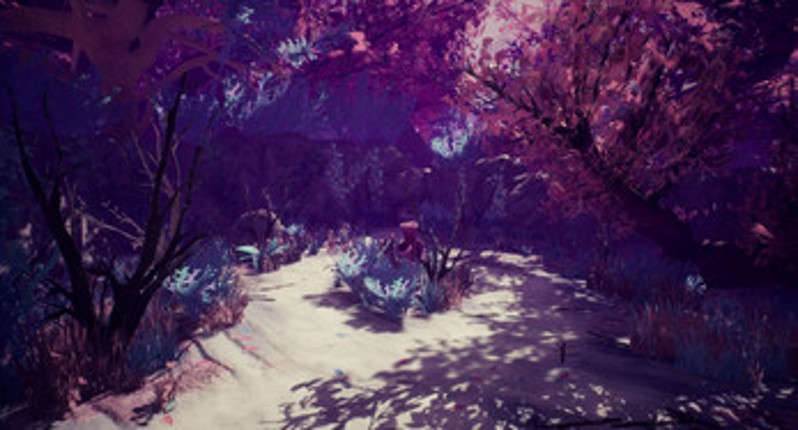Cokora screenshot