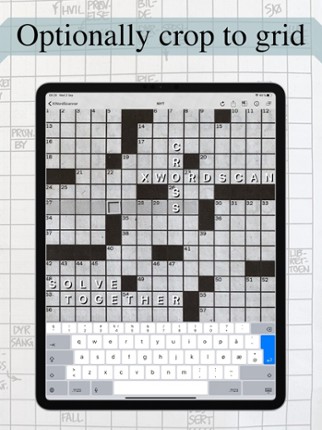 Team Crossword Scanner screenshot