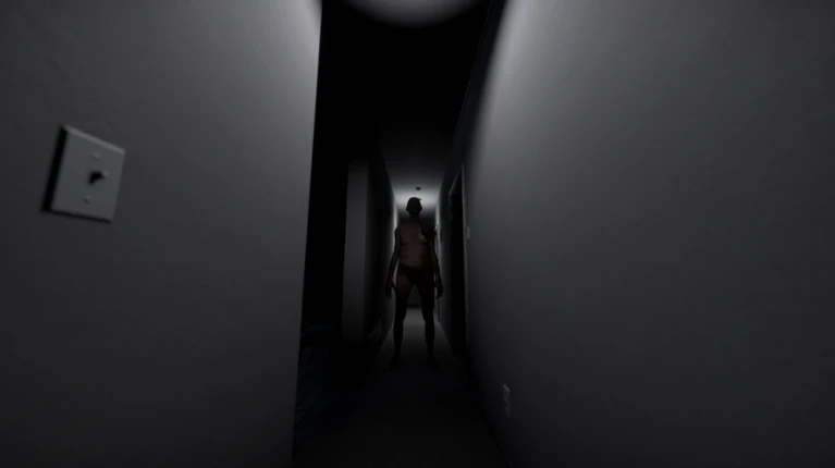 Visitant Image
