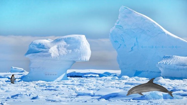 Antarctic Dolphin Escape screenshot