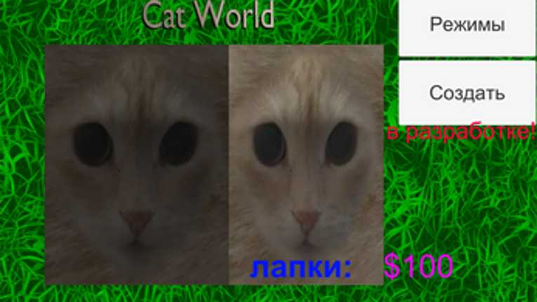Cat World Image