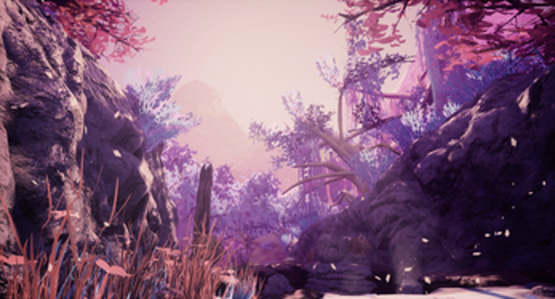 Cokora screenshot