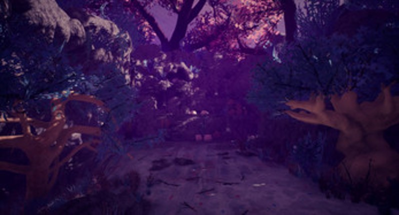 Cokora Image