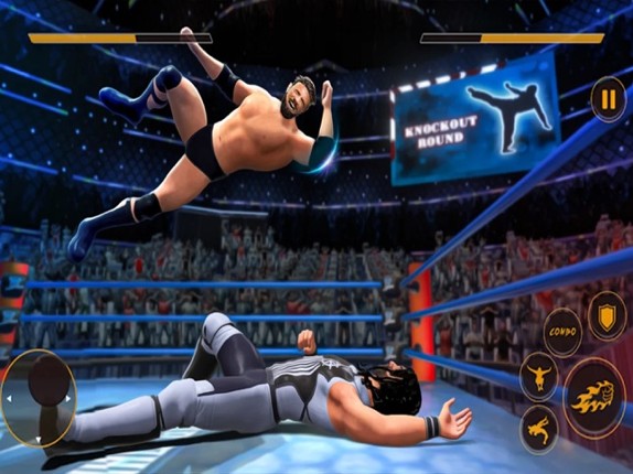 Real Wrestling Championship Image