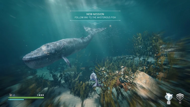 Echo: The dolphin story screenshot