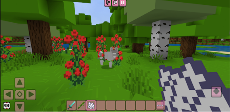 Bloxx Craft Girl Image