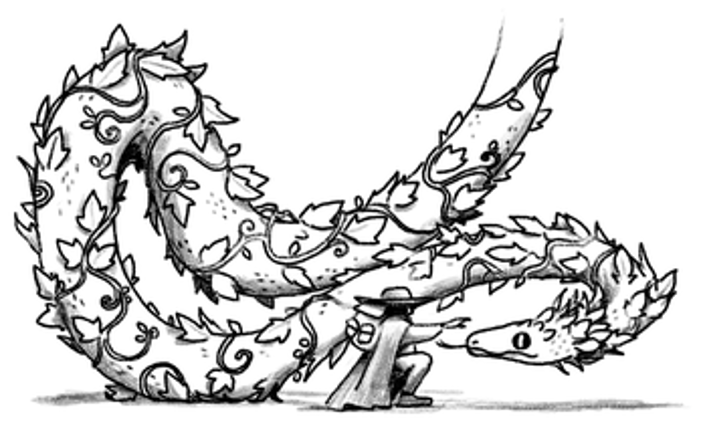 A travers le Maldirach Image