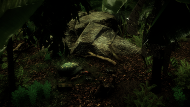 The Red-Footed Tortoise screenshot