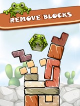 Hexa Frog - Brick Breaking Image