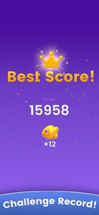 Master PuzBlock screenshot