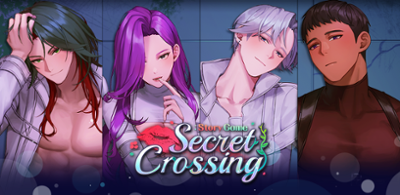 Secret Crossing Image