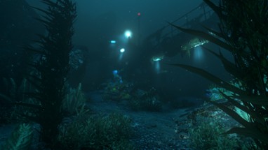 SOMA Image