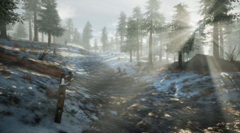 Wolf In The Bunker Image