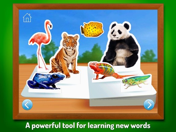 Zoo Animals ~ Touch, Look, Listen screenshot