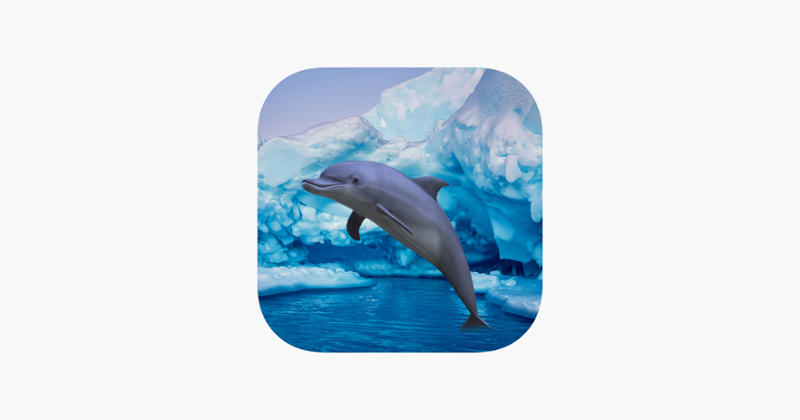 Antarctic Dolphin Escape Image