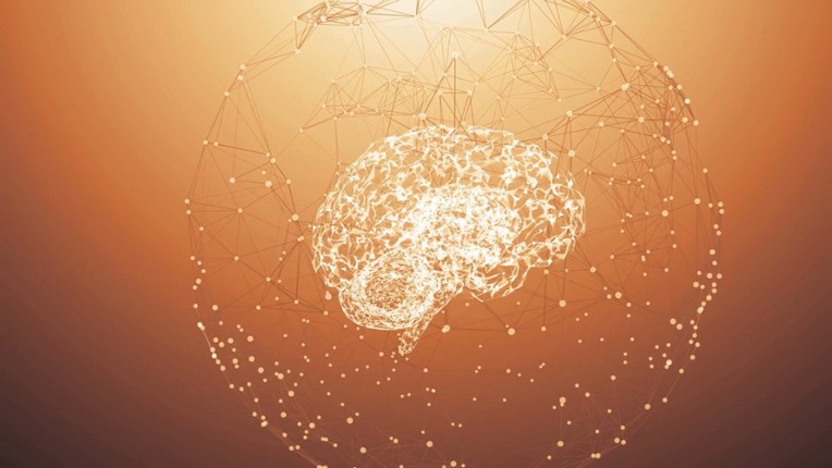 Artificial Intelligence Simulator screenshot