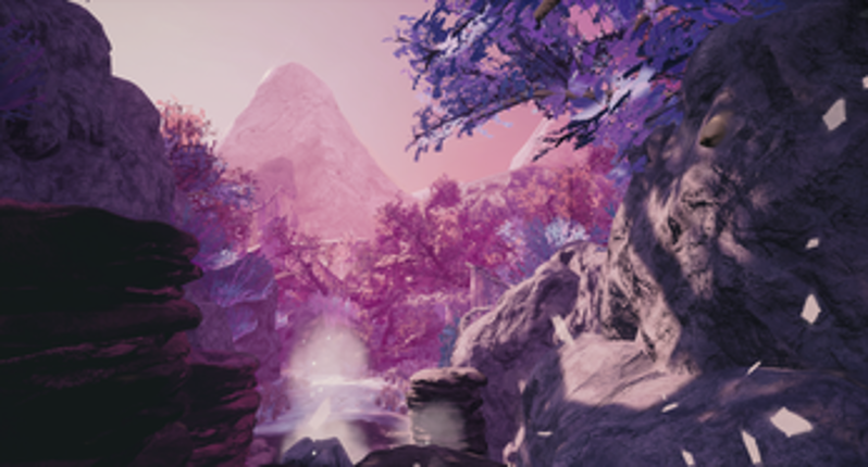 Cokora screenshot