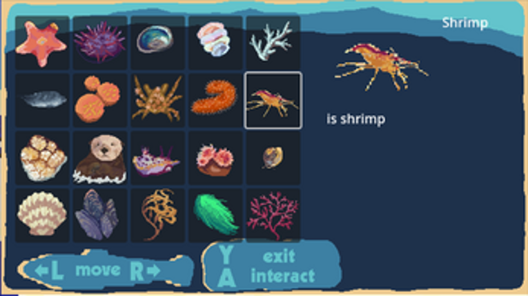 Monterey Bay Adventures: A Hopkins Experience Image