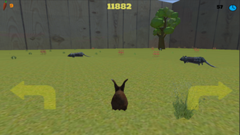 RunRabbit Image