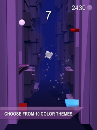 Side 2 Side: Jumping Jelly Image