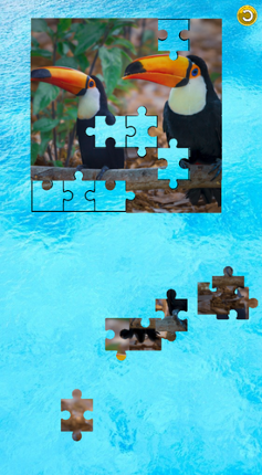 Animal puzzles screenshot