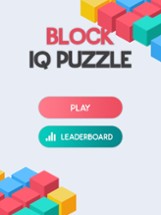 Block - IQ Puzzle Image