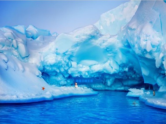 Antarctic Dolphin Escape screenshot