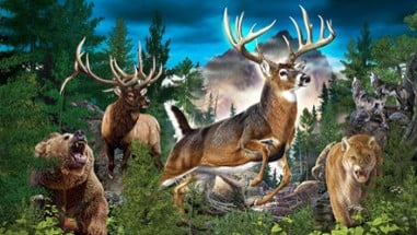 Cabela's: The Hunt - Championship Edition Image