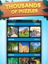 Jigsaw Adventures Puzzle Game Image