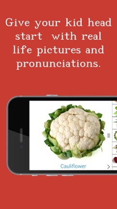 Montessori Vegetables, A fun way to teach vegetables to your young ones screenshot