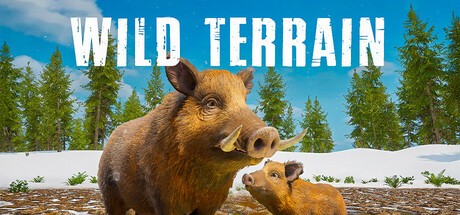 Games like Wild Terrain