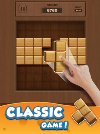 Wood Puzzle 3D screenshot