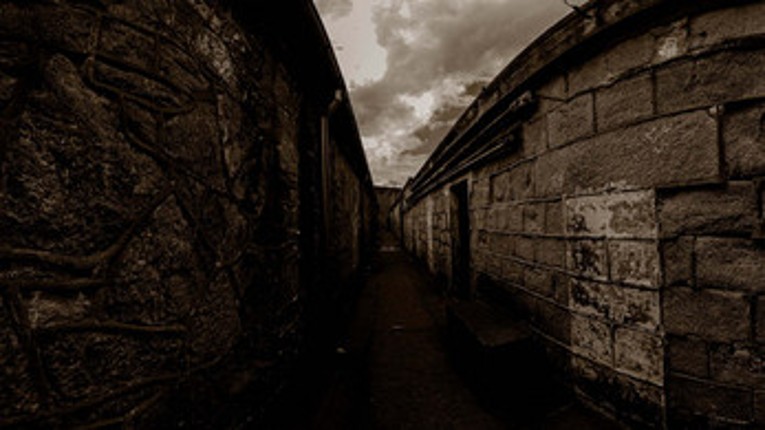 8/8/88 Needle AL screenshot