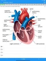 Biology Quiz (new) Image