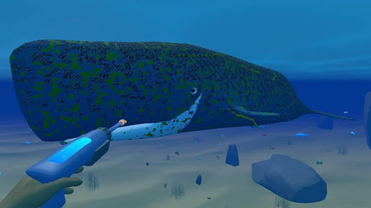 Bodian's Bay Wash screenshot