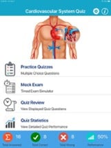 Cardiovascular System Quizzes Image