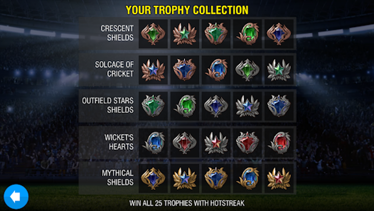 WCC Rivals Cricket Multiplayer screenshot